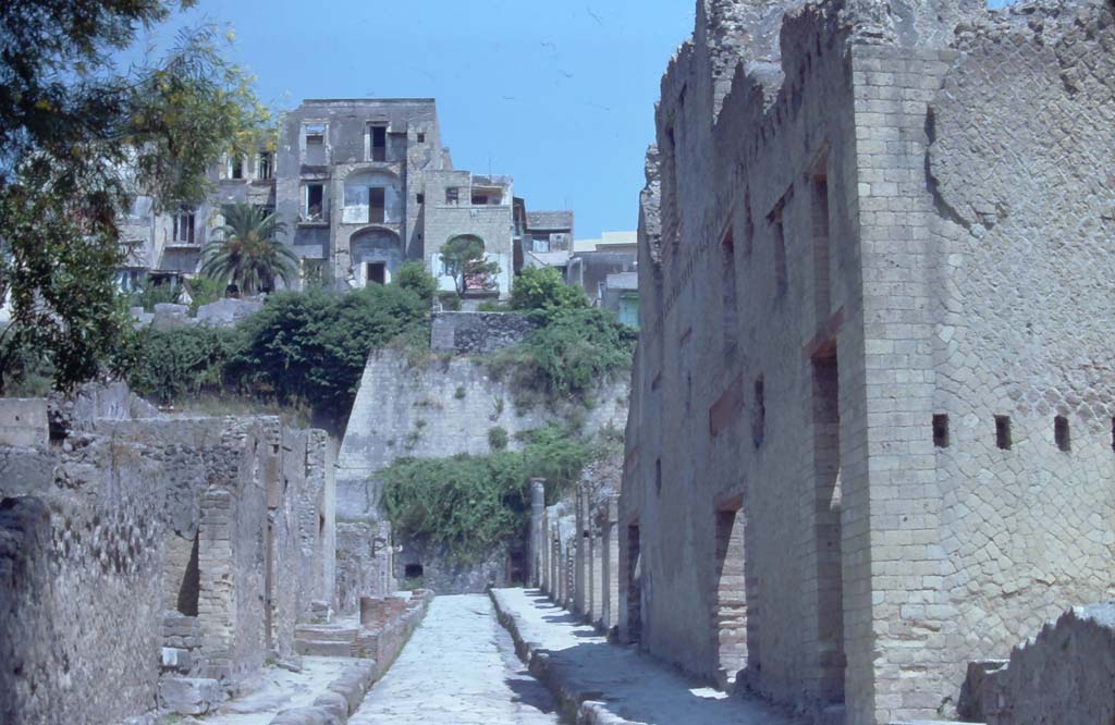 Ins. Or. II. 7, Herculaneum, taller doorway on right. 7th August 1976.
Cardo V, Herculaneum. 7th August 1976.
Looking north on Cardo V, between Ins. V, on left, and Ins. Or. II, on right.
Photo courtesy of Rick Bauer, from Dr George Fay’s slides collection.
