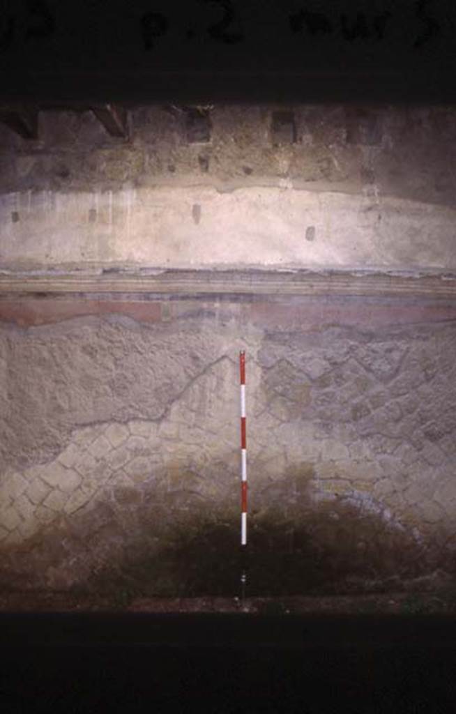 Ins Or II, 9, Herculaneum. July 2001. Detail from south wall. 
Photo courtesy of Nicolas Monteix.

