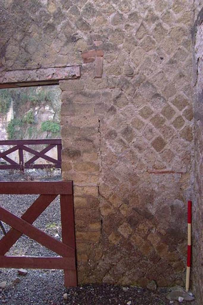 Ins Or II, 11, Herculaneum. July 2001.  East wall in south-east corner of middle rear room.
Photo courtesy of Nicolas Monteix.

