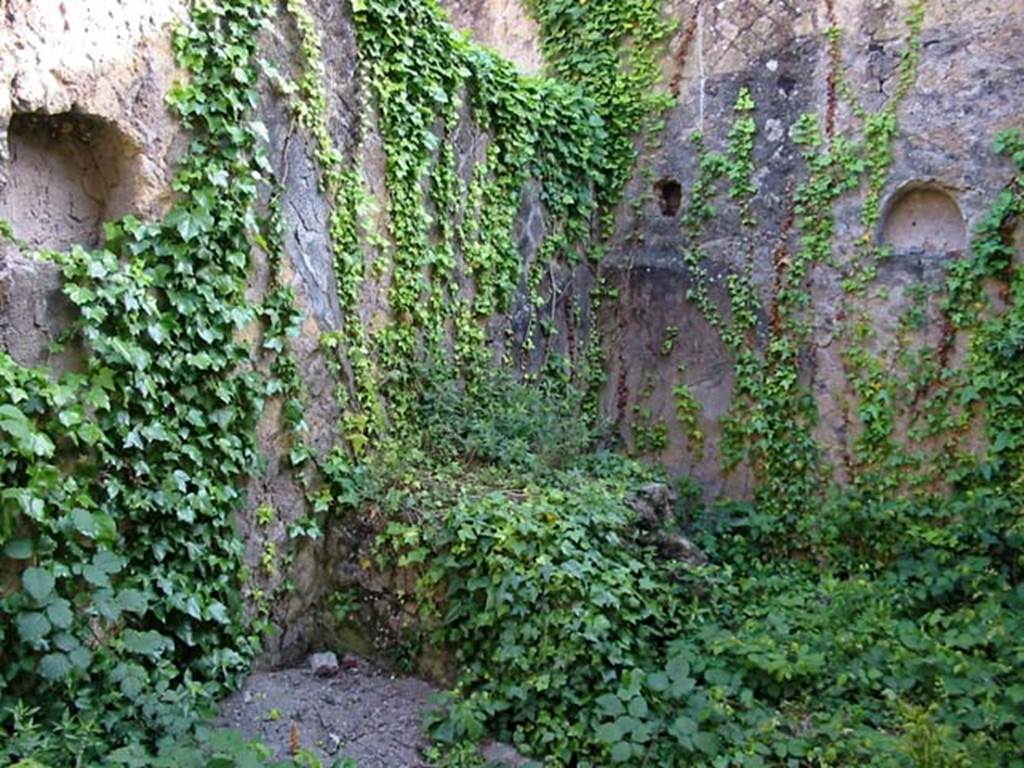 V.15, Herculaneum. May 2003. Kitchen, in south-east corner of garden area.
There is a niche on both the east and south walls. Photo courtesy of Nicolas Monteix.
