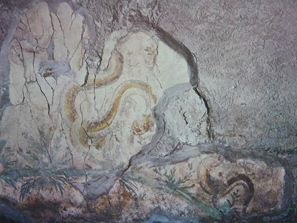 VI.17/26 Herculaneum, 1972. Remains of lararium painting on “south” wall of kitchen.
According to Frohlich –
This was found on the “west” wall of the kitchen 18, to the right of the doorway.
Its dimensions – height 0.80m; width 2.06m.
Most of the plaster had fallen off of the wall, the preserved painting has faded considerably.
It was described as a “white-ground wall surface with sacrificial bench.
Two large snakes, whose bodies repeatedly intersect, crawl up a flat hill from the right and approach the offering bench, which consists of a walled-in roof tile, from different sides. Oleander-like plants with red flowers stand scattered on the ground”.
He dated it as: Late Third or Fourth Style.
A photograph taken shortly after the uncovering, AFS 10082, shows a slightly better condition.
See Fröhlich, T., 1991. Lararien und Fassadenbilder in den Vesuvstädten. Mainz: von Zabern, (p. 302, L118).