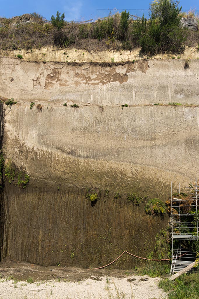Herculaneum Villa dei Papiri. October 2023. Looking west. Photo courtesy of Johannes Eber. 