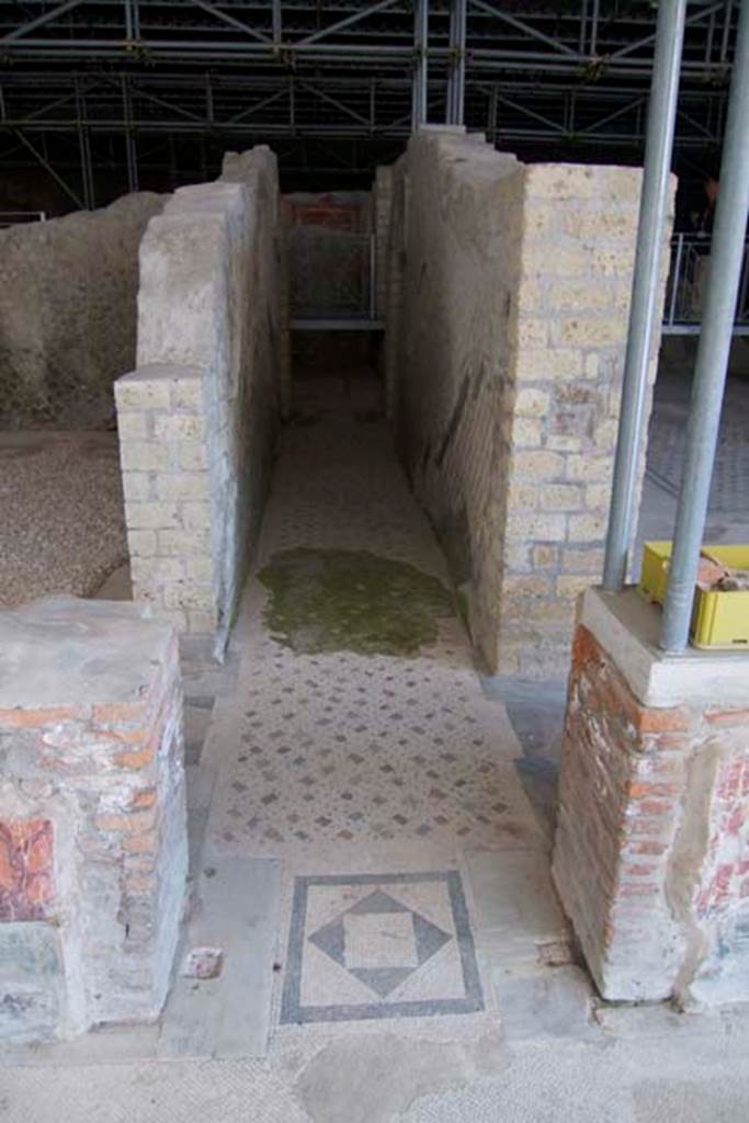 Villa dei Papiri, Herculaneum. July 2010. Corridor h, with mosaics in opus tessellatum (woven style).
Photo courtesy of Michael Binns.
White regular cubic tesserae form a white background of oblique courses that is characterized by the irregular dotting of black tesserae, limestone fragments and coloured marbles, and can be ascribed to the Second Style.
The walls of corridor (h) were built in opus reticulatum with 8– 10 cm wide irregularly arranged cubilia; they were
extensively damaged and in a number of cases the wall surface was missing.
Until the most recent excavation the corridor was still full of the backfilling material of a Bourbon tunnel that ran at its entire length, as indicated by Weber’s plan. To avoid possible landslides and the collapse of the structure, the tunnel had been closed with a retaining wall erected with waste material. The presence of wall painting fragments in the filling of the tunnel suggests that the Bourbon workers used materials taken from the nearby rooms.

See Esposito D. and Guidobaldi M., 2010. New Archaeological Research at the Villa of the Papyri, in the Villa of the Papyri at Herculaneum. Berlin: De Gruyter, p. 25, fig. 5, fig. 4. 
