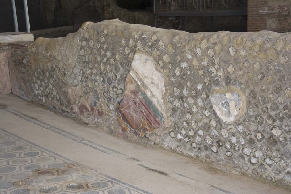 Villa dei Papiri, March 2019. Room (f), oecus, detail from east wall.
Foto Annette Haug, ERC Grant 681269 DÉCOR.
