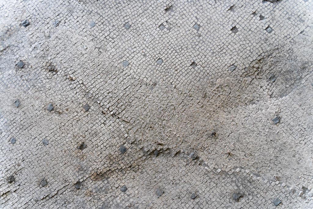 Herculaneum Villa dei Papiri. October 2023. Large loggia (a), black and white flooring. Photo courtesy of Johannes Eber. 