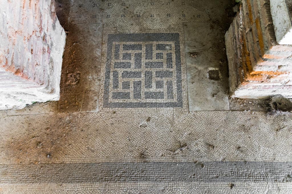 Herculaneum Villa dei Papiri. October 2023.
Detail of mosaic flooring in doorway to corridor (t). Photo courtesy of Johannes Eber.