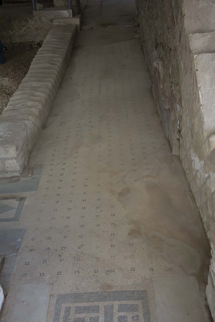 Villa dei Papiri, March 2019. Corridor (t), looking north.
Foto Annette Haug, ERC Grant 681269 DÉCOR.