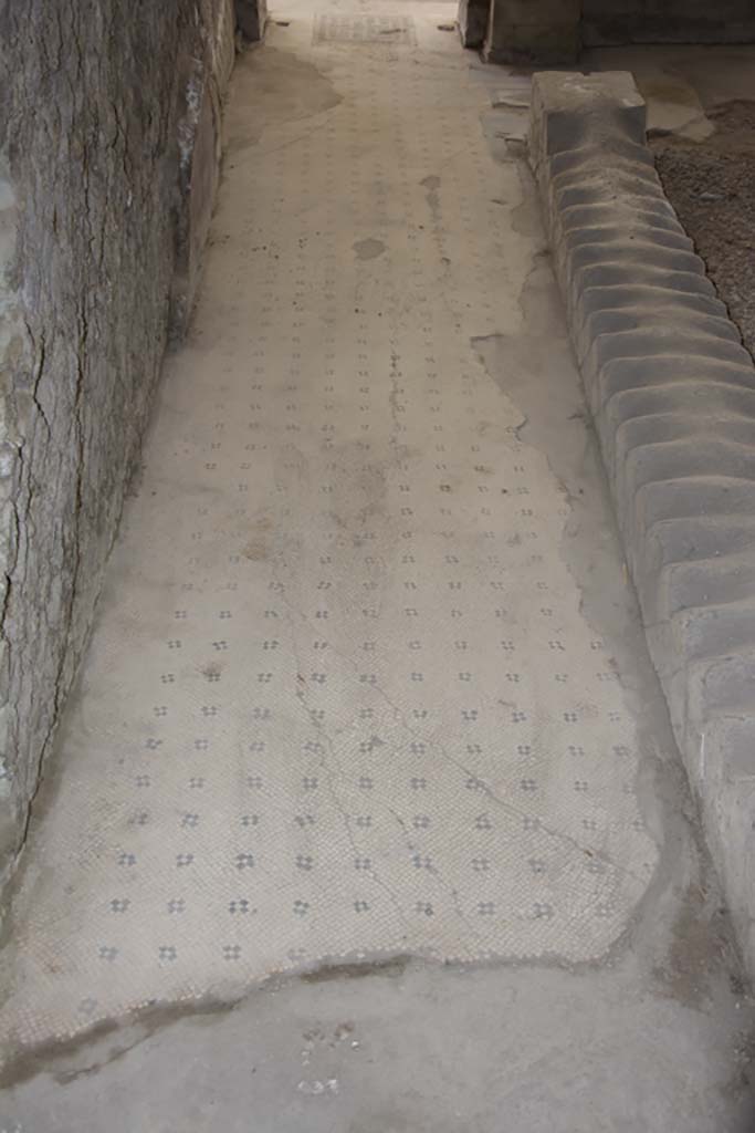 Villa dei Papiri, March 2019. Corridor (t), looking south.
Foto Annette Haug, ERC Grant 681269 DÉCOR.