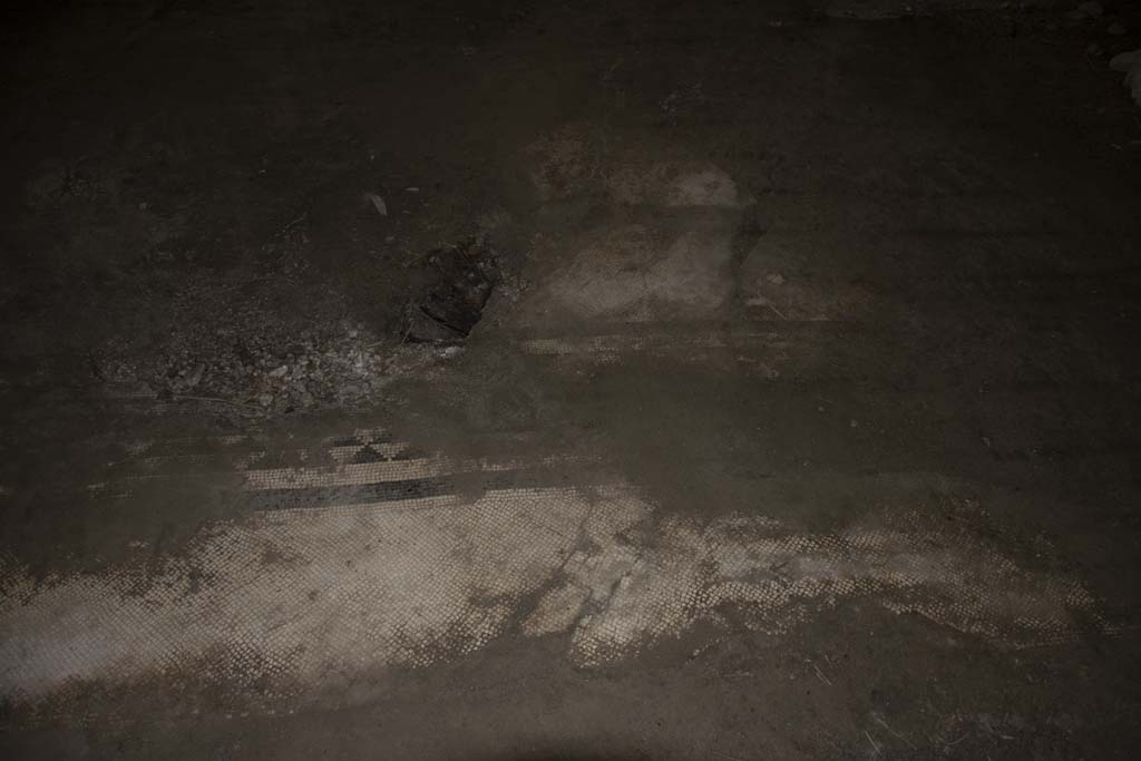 Villa dei Papiri, March 2019. Room (q), detail from flooring.
Foto Annette Haug, ERC Grant 681269 DÉCOR.