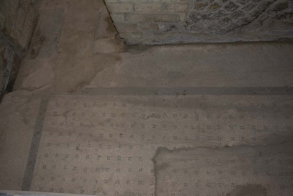 Villa dei Papiri, March 2019.
Room (e) ala, mosaic flooring in south-east corner with doorway threshold into corridor (h), upper left.
Foto Annette Haug, ERC Grant 681269 DÉCOR.