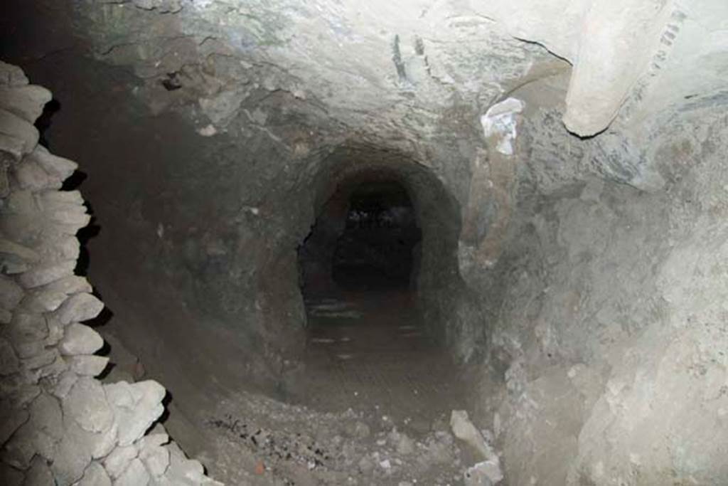 Villa dei Papiri, Herculaneum. July 2010. Looking into a Bourbon tunnel. Photo courtesy of Michael Binns.