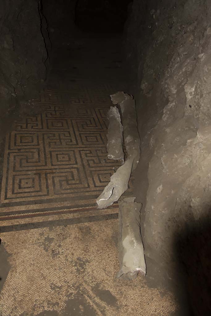 Villa dei Papiri, March 2019. Mosaic floor in Bourbon tunnel.
Foto Annette Haug, ERC Grant 681269 DÉCOR.
