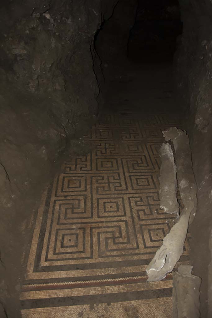 Villa dei Papiri, March 2019. Detail of mosaic floor in Bourbon tunnel.
Foto Annette Haug, ERC Grant 681269 DÉCOR.