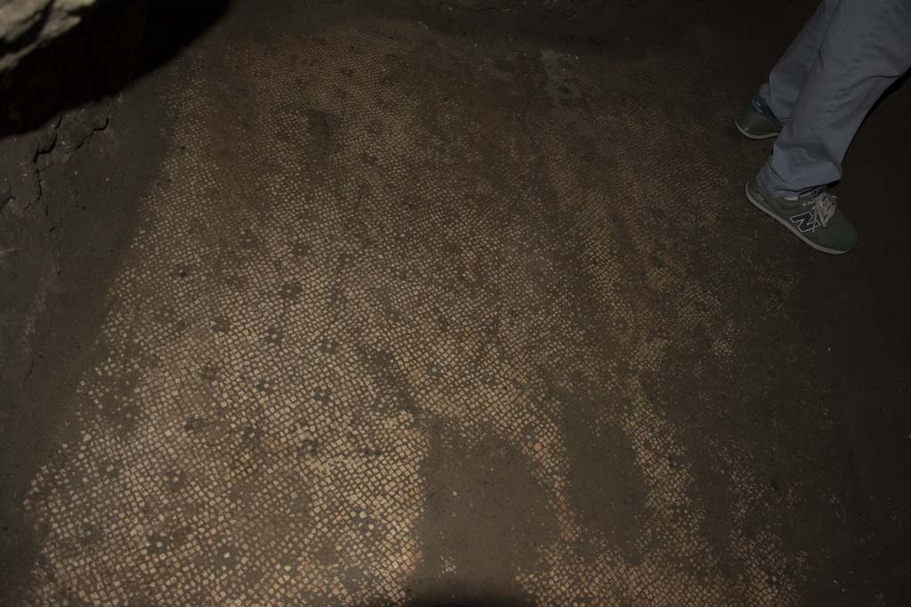 Villa dei Papiri, March 2019. Flooring in Bourbon tunnel.
Foto Annette Haug, ERC Grant 681269 DÉCOR.