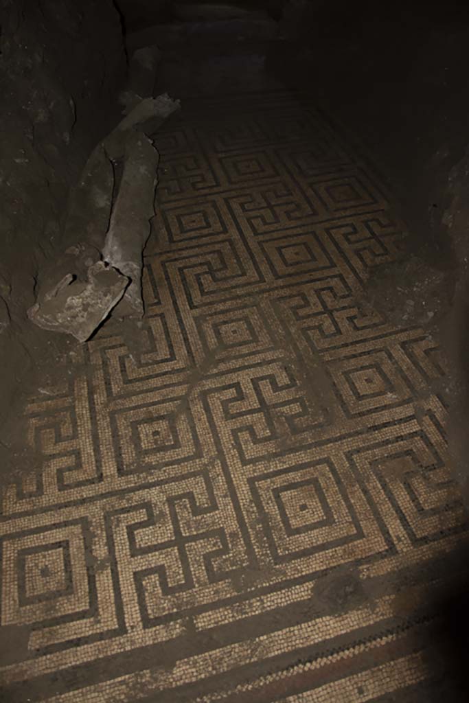 Villa dei Papiri, March 2019. Flooring in Bourbon tunnel.
Foto Annette Haug, ERC Grant 681269 DÉCOR.