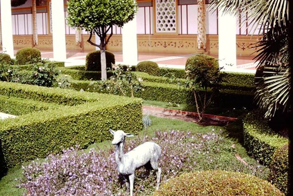 Getty Villa, Malibu, Spring 1982. Reproduction statue of a faun in garden area. Photo by Stanley A. Jashemski.   
Source: The Wilhelmina and Stanley A. Jashemski archive in the University of Maryland Library, Special Collections (See collection page) and made available under the Creative Commons Attribution-Non Commercial License v.4. See Licence and use details.
J80f0427
