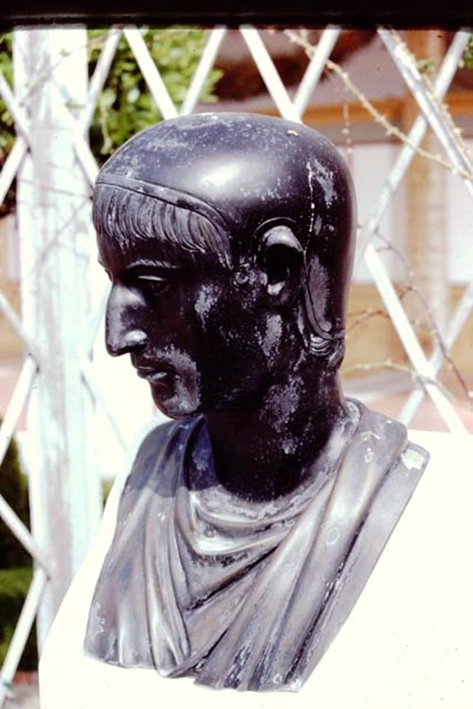 Getty Villa, Malibu, Spring 1982. Garden area. Reproduction bronze herm of man wearing a cap. Photo by Stanley A. Jashemski.   
Source: The Wilhelmina and Stanley A. Jashemski archive in the University of Maryland Library, Special Collections (See collection page) and made available under the Creative Commons Attribution-Non Commercial License v.4. See Licence and use details.
J80f0430
