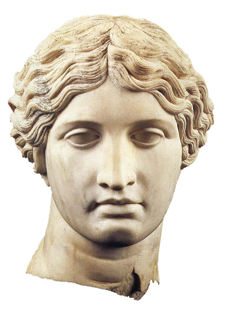 Villa dei Papiri, Herculaneum. Head of an Amazon, found on 28th April 1997, in the collapsed monumental structure. 