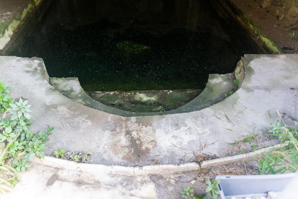 South-western baths, Herculaneum. October 2023. 
South end of pool, steps descending into water at the semi-circular end of the pool. Photo courtesy of Johannes Eber. 


