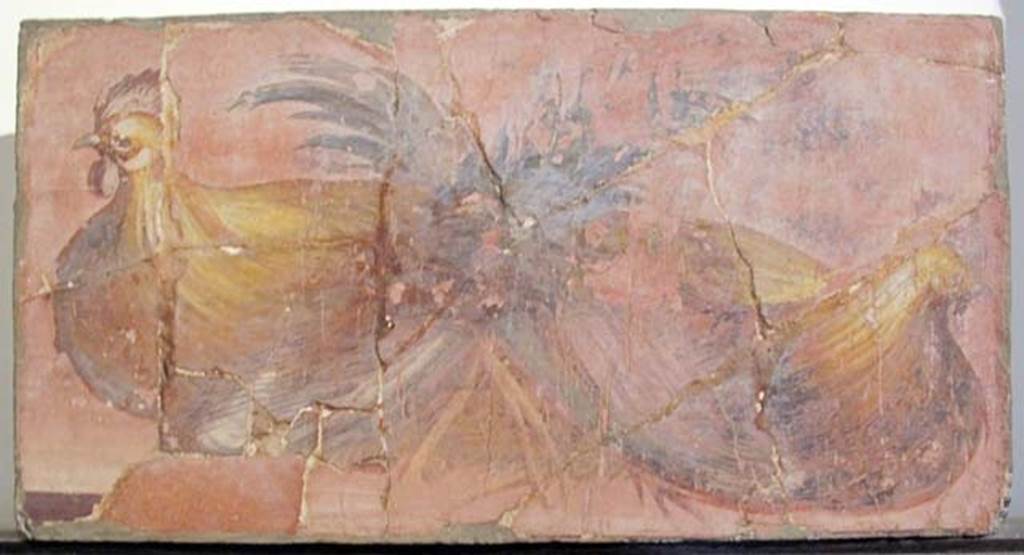 Villa dei Papiri, Herculaneum. Atrium (c). Fresco of two cocks with realistic plumage.
Now in Naples Archaeological Museum. Inventory number 8753. 
According to Esposito, Agnes Allroggen-Bedel has attributed to the decoration of the atrium two other fragments, which Weber placed in a different area of the villa, that of the so-called "stufa", or small room that opens to the south-east of room V, the so-called "library". In the first fragment, on a light pink background that looks very much like that of the fragment with ducks and roe deer, one sees two cocks, with the plumage rendered in a very realistic way.
See Esposito D., 2010. Le pitture della Villa dei Papiri ad Ercolano in La Villa Romaine de Boscoreale et ses Fresques. édicions errance: Musée royal de Mariemont. p. 212, fig. 4.

