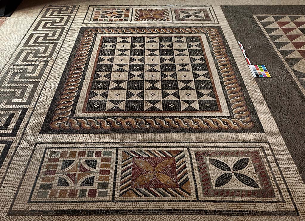 No.1 - The provenance for this mosaic is uncertain.
After its discovery in the eighteenth century, it was lifted and sent to the Royal Palace at Portici. 
However, it is possible that it was from a room at the Villa of the Papyri.
Photographed at Reggia di Portici, October 2013. Mosaic pavements in Royal Apartments.
Photo courtesy of Frédérique Marchand-Beaulieu and Helen Dessales.
©Villa Diomedes Project, Image database, http://villadiomede.huma-num.fr/bdd/images/5283 
See Papaccio, V. The floors of the Villa dei Papiri. (p.56-63, of Buried by Vesuvius, the Villa dei Papiri at Herculaneum, edited by Kenneth Lapatin). 

